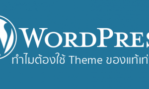 wordpress premium theme ของแท้